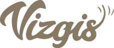 Vizgis